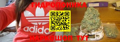 шишки Уссурийск